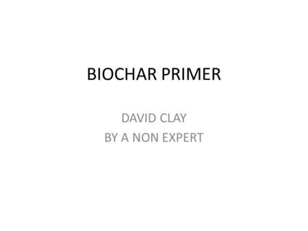 DAVID CLAY BY A NON EXPERT