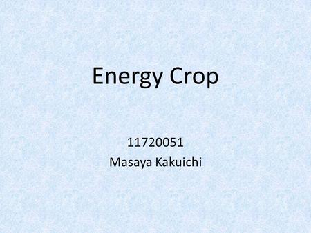 Energy Crop 11720051 Masaya Kakuichi. What is energy crop? An energy crop is a plant grown as a low cost and low maintenance harvest used to make biofuels,
