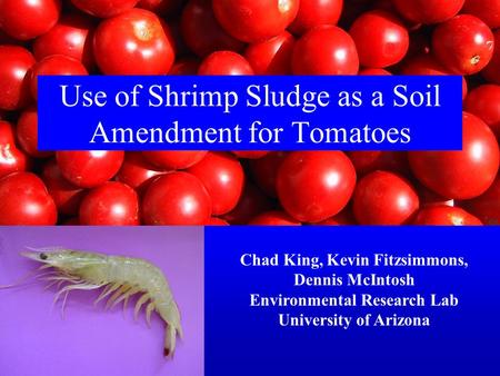 Use of Shrimp Sludge as a Soil Amendment for Tomatoes Chad King, Kevin Fitzsimmons, Dennis McIntosh Environmental Research Lab University of Arizona.
