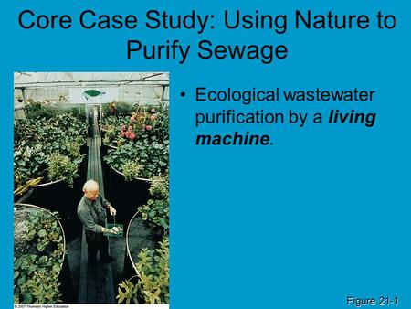 Core Case Study: Using Nature to Purify Sewage
