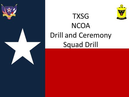 TXSG NCOA Drill and Ceremony Squad Drill