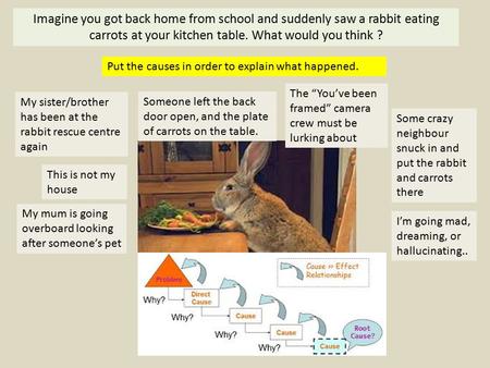 Imagine you got back home from school and suddenly saw a rabbit eating carrots at your kitchen table. What would you think ? Some crazy neighbour snuck.