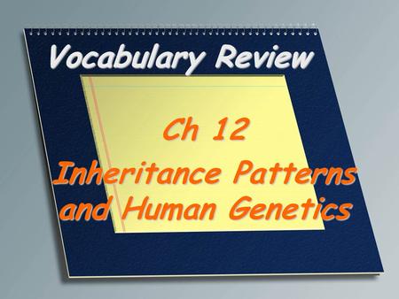 Vocabulary Review Ch 12 Inheritance Patterns and Human Genetics.