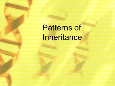Patterns of Inheritance. Vocabulary Incomplete dominance: 1 allele only partially dominant Co-dominance: both alleles for genes exposed equally Multiple.