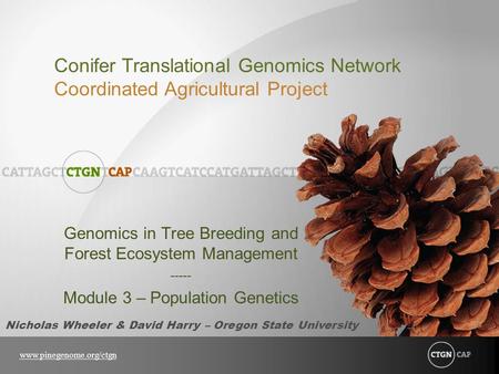 Genomics in Tree Breeding and Forest Ecosystem Management