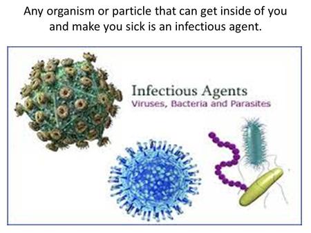 Any organism or particle that can get inside of you and make you sick is an infectious agent.