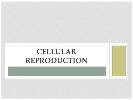 CELLular Reproduction