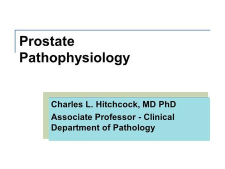 Prostate Pathophysiology Charles L. Hitchcock, MD PhD Associate Professor - Clinical Department of Pathology.