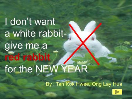 I don’t want a white rabbit- give me a red rabbit for the NEW YEAR By : Tan Kok Hwee, Ong Lay Hua.