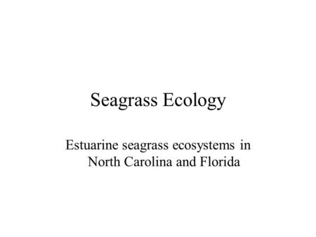 Seagrass Ecology Estuarine seagrass ecosystems in North Carolina and Florida.