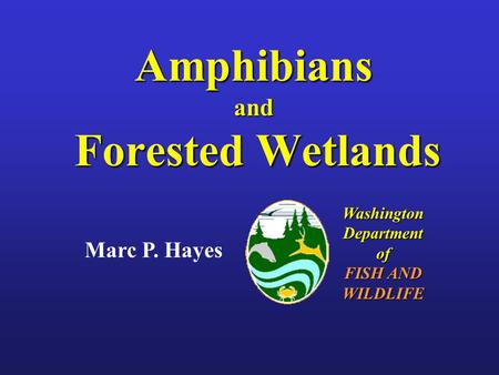 Marc P. Hayes Washington Department of FISH AND WILDLIFE Amphibians and Forested Wetlands.