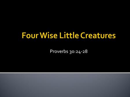 Four Wise Little Creatures