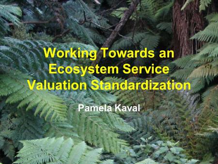 Working Towards an Ecosystem Service Valuation Standardization Pamela Kaval.