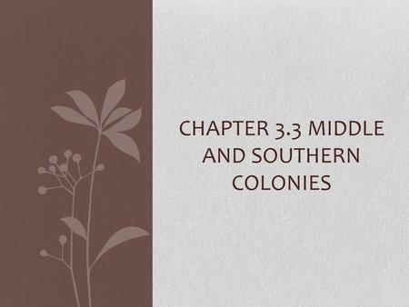 CHAPTER 3.3 MIDDLE AND SOUTHERN COLONIES. The Middle Colonies New York, New Jersey, Pennsylvania, and Delaware Swedes, Dutch, English, Germans and Africans.