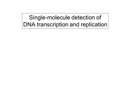 Single-molecule detection of DNA transcription and replication.