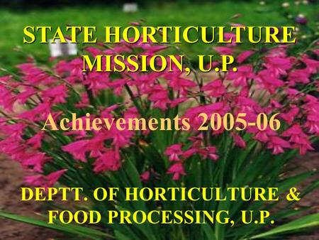 Achievements 2005-06 DEPTT. OF HORTICULTURE & FOOD PROCESSING, U.P. STATE HORTICULTURE MISSION, U.P.