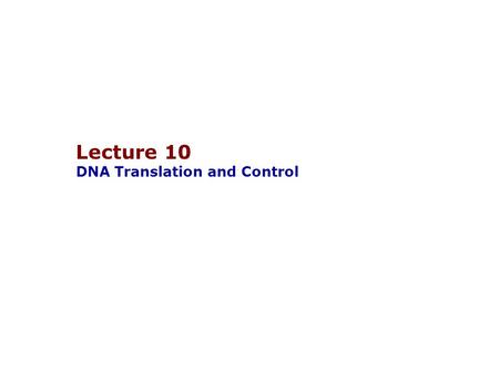 Lecture 10 DNA Translation and Control