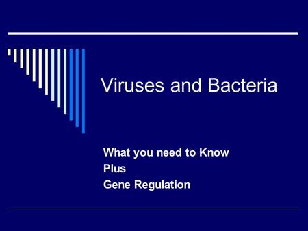 What you need to Know Plus Gene Regulation