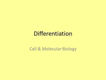 Differentiation Cell & Molecular Biology. Genetic Control All cells in the body have the same genetic information Not all cells are identical. Cellular.
