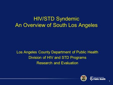 HIV/STD Syndemic An Overview of South Los Angeles