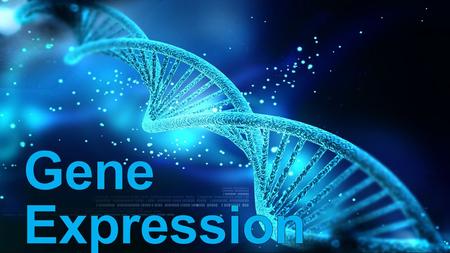 Why Regulate Gene Expression? Response to changing developmental or environmental conditions Save… time time energy energy raw materials raw materials.