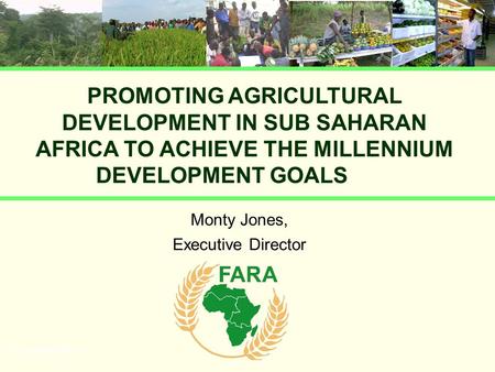 PROMOTING AGRICULTURAL DEVELOPMENT IN SUB SAHARAN AFRICA TO ACHIEVE THE MILLENNIUM DEVELOPMENT GOALS Monty Jones, Executive Director UN presentation.