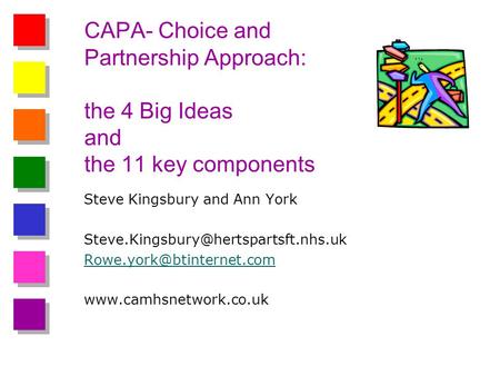 CAPA- Choice and Partnership Approach: the 4 Big Ideas and the 11 key components Steve Kingsbury and Ann York