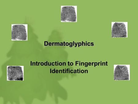 Dermatoglyphics Introduction to Fingerprint Identification.