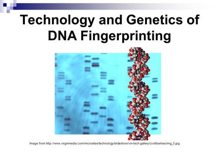 Technology and Genetics of DNA Fingerprinting
