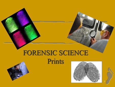 1 FORENSIC SCIENCE Prints 2 Prints Dactyloscopy: the study of fingerprints l Making Prints –Rolling prints –Modus Operandi--primary identification number.