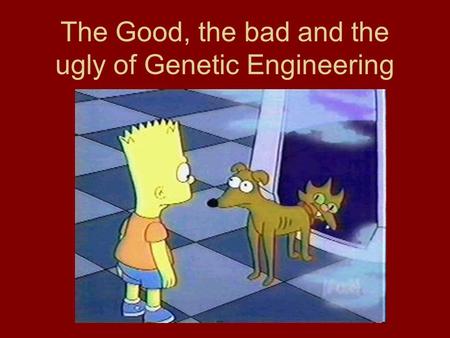The Good, the bad and the ugly of Genetic Engineering.