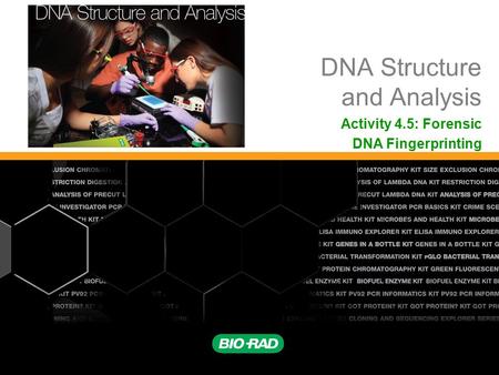 DNA Structure and Analysis