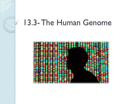 13.3- The Human Genome. What is a genome? Genome: the total number of genes in an individual. Human Genome- approx. 20,000 genes on the 46 human chromosomes.