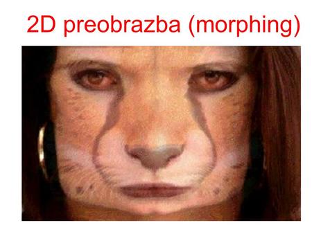 2D preobrazba (morphing). 2D preobrazba dekle-tiger.