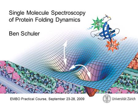 © D. Goodsell Single Molecule Spectroscopy of Protein Folding Dynamics Ben Schuler EMBO Practical Course, September 23-28, 2009.