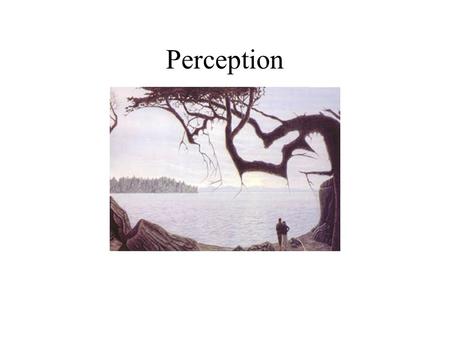Perception. The process by which we experience things through our senses Most of what we learn we acquire through our physical senses – sight, sound,