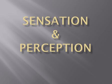  Sensation  Detection of external stimuli  Response to the stimuli  Transmission of the response to the brain  Perception  Processing, organizing.