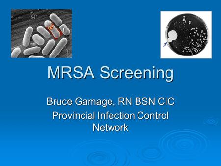 Bruce Gamage, RN BSN CIC Provincial Infection Control Network