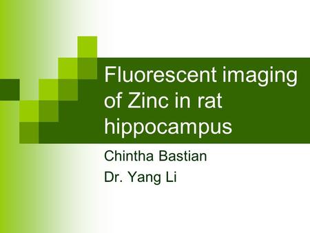 Fluorescent imaging of Zinc in rat hippocampus Chintha Bastian Dr. Yang Li.