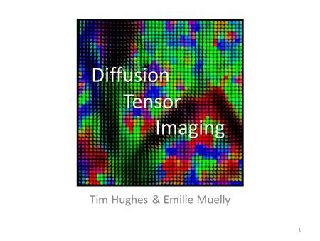Diffusion Tensor Imaging Tim Hughes & Emilie Muelly 1.
