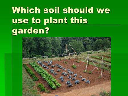 Which soil should we use to plant this garden?. Background Knowledge Percolation & Absorbency  Percolation Rate: Is the time it takes for water to flow.