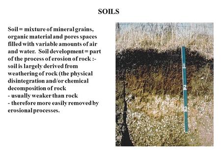 SOILS Soil = mixture of mineral grains, organic material and pores spaces filled with variable amounts of air and water. Soil development = part of the.