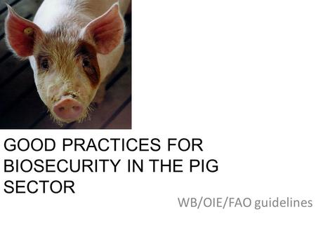 GOOD PRACTICES FOR BIOSECURITY IN THE PIG SECTOR WB/OIE/FAO guidelines.