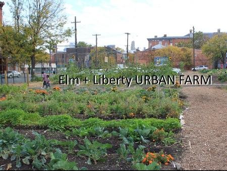 Elm + Liberty URBAN FARM. Scope of Work Vertical Garden Shed Shade Structure.
