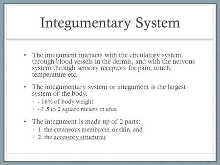 Integumentary System The integument interacts with the circulatory system through blood vessels in the dermis, and with the nervous system through sensory.