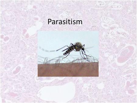 Parasitism. Parasitism is similar to predation, although the host (prey) is rarely killed.