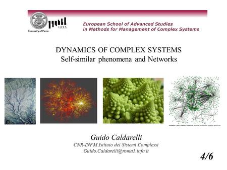 DYNAMICS OF COMPLEX SYSTEMS Self-similar phenomena and Networks Guido Caldarelli CNR-INFM Istituto dei Sistemi Complessi