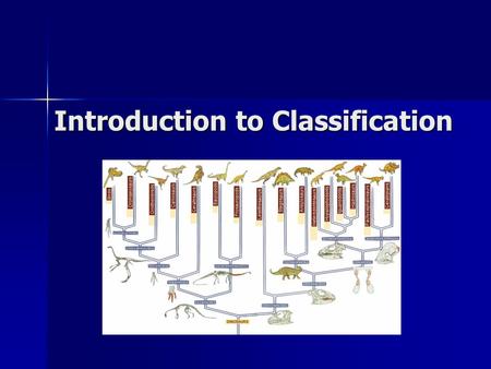 Introduction to Classification. Why do we classify things? To organize To organize To see relationships between organisms To see relationships between.