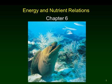 1 Energy and Nutrient Relations Chapter 6. 2 Outline Energy Sources Solar-Powered Biosphere Photosynthetic Pathways Using Organic Molecules Chemical Composition.