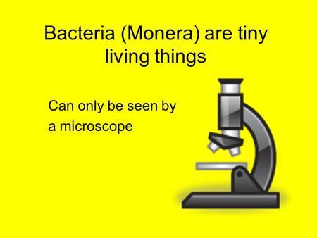 Bacteria (Monera) are tiny living things Can only be seen by a microscope.